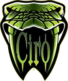 CIRO3D