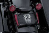 Lighted License Plate Frame