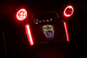 Lighted License Plate Frame